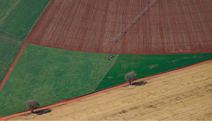 PIB do Paraná cresce acima de países da Europa no 1º semestre do ano